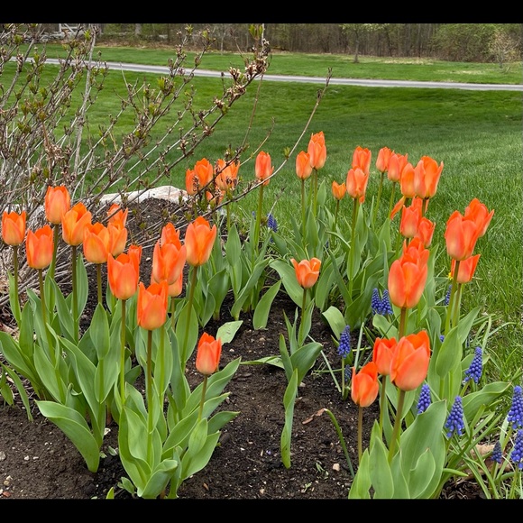 Meet your Posher, MrsPeck - Picture 4 of 6